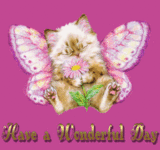 b4b631c69f35111b698ff5eb8dfdfebf.gif